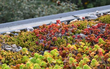 the cost of Chilwell green roof installation