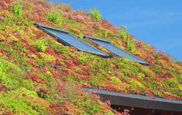 Chilwell living roof systems