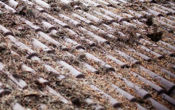 Chilwell roof cleaning companies