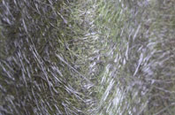 Chilwell fibreglass roof work